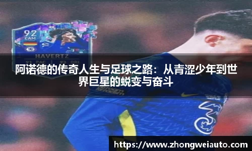 雷火电竞官方网站入口